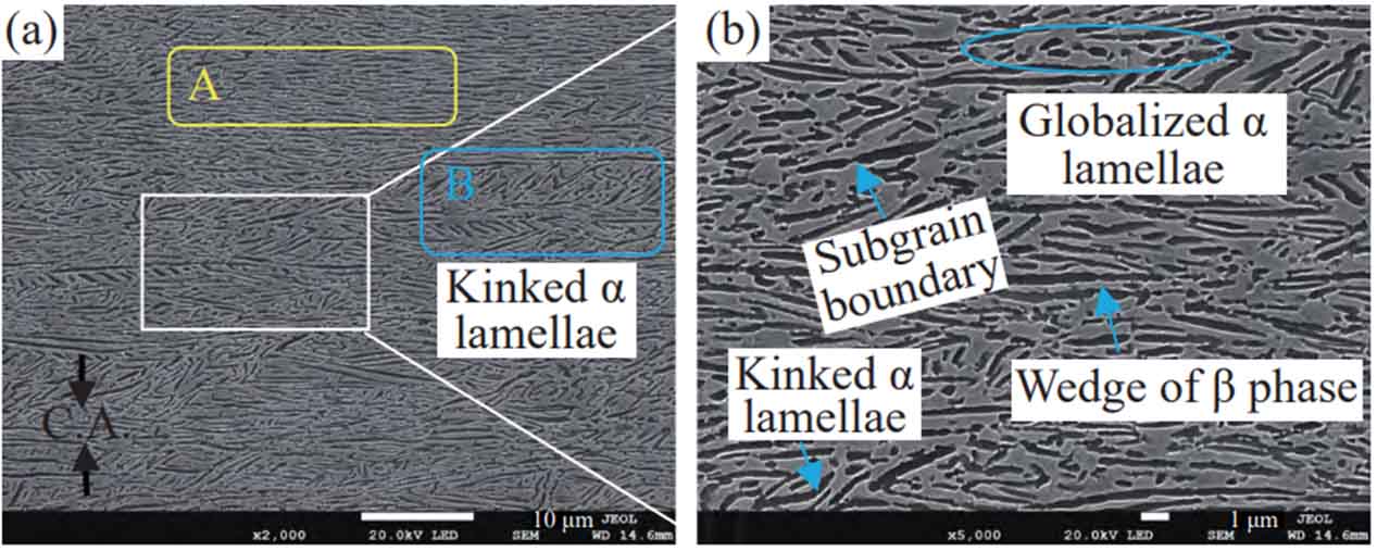 Thermal_Deformation_Behavior_of_SP700_Titanium_Alloy-15.jpg