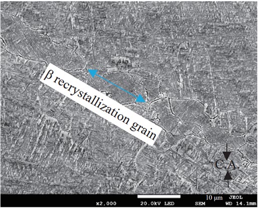 Thermal_Deformation_Behavior_of_SP700_Titanium_Alloy-17.jpg